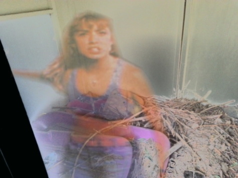 She needs me....to help her trap vampire people that are trying to kill teenage girls in a house somewhere...