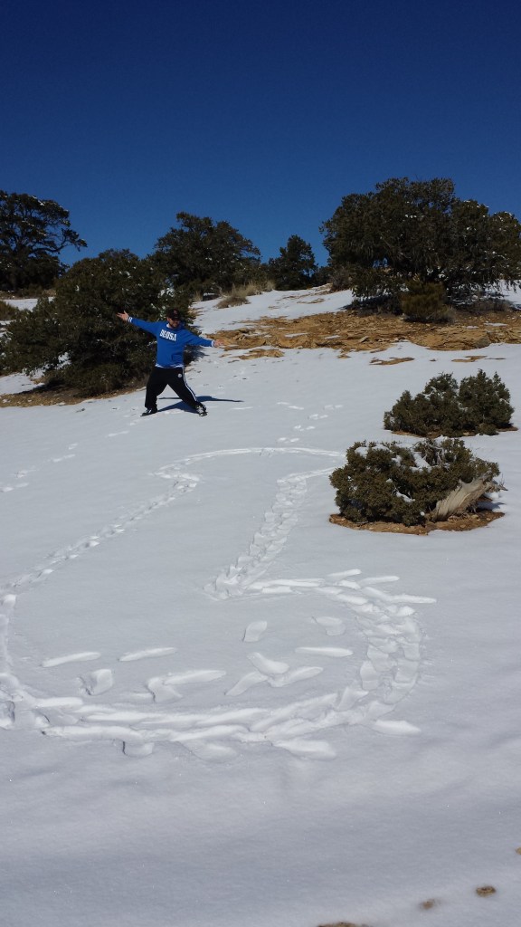 ....so we drew dicks on it.